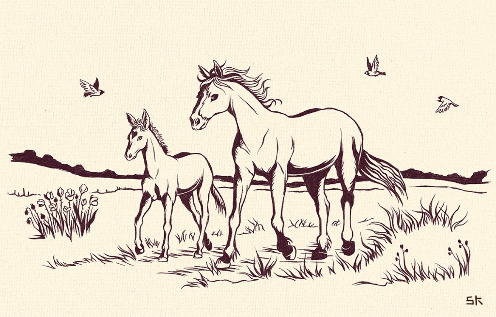 horse family